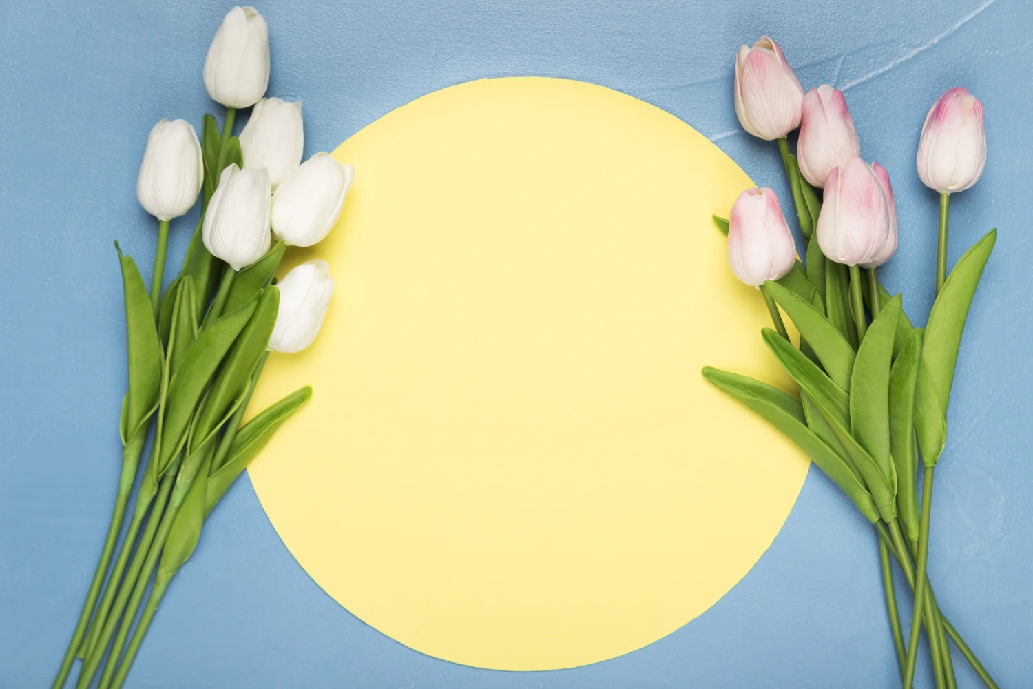 Zwei Tulpenstrauß und gelber vor hellblauem Hintergrund, Vorlage für Grußkarten