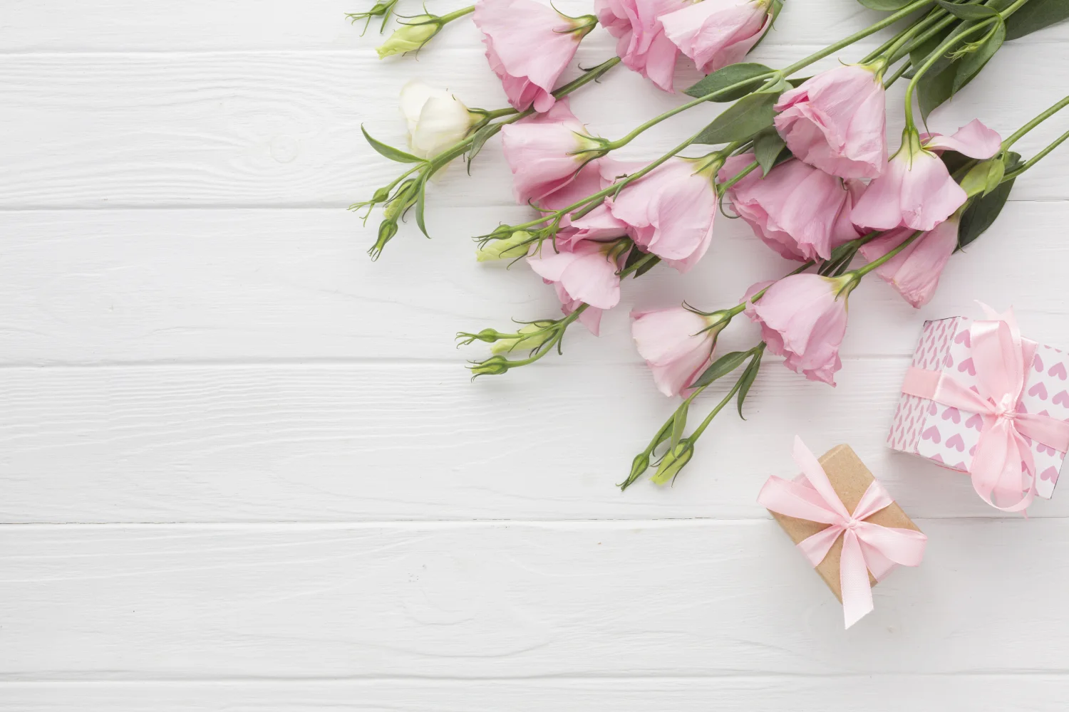Rosa Lisianthus mit Geschenken vor weißem Hintergrund