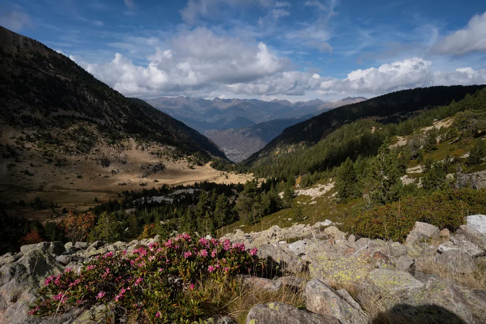 Bedeckte grünen Baum Berge unter einem schönen Himmel