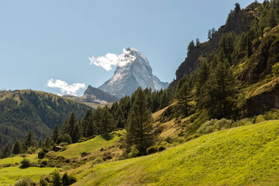 Blick auf Wald und Berg Gipfel