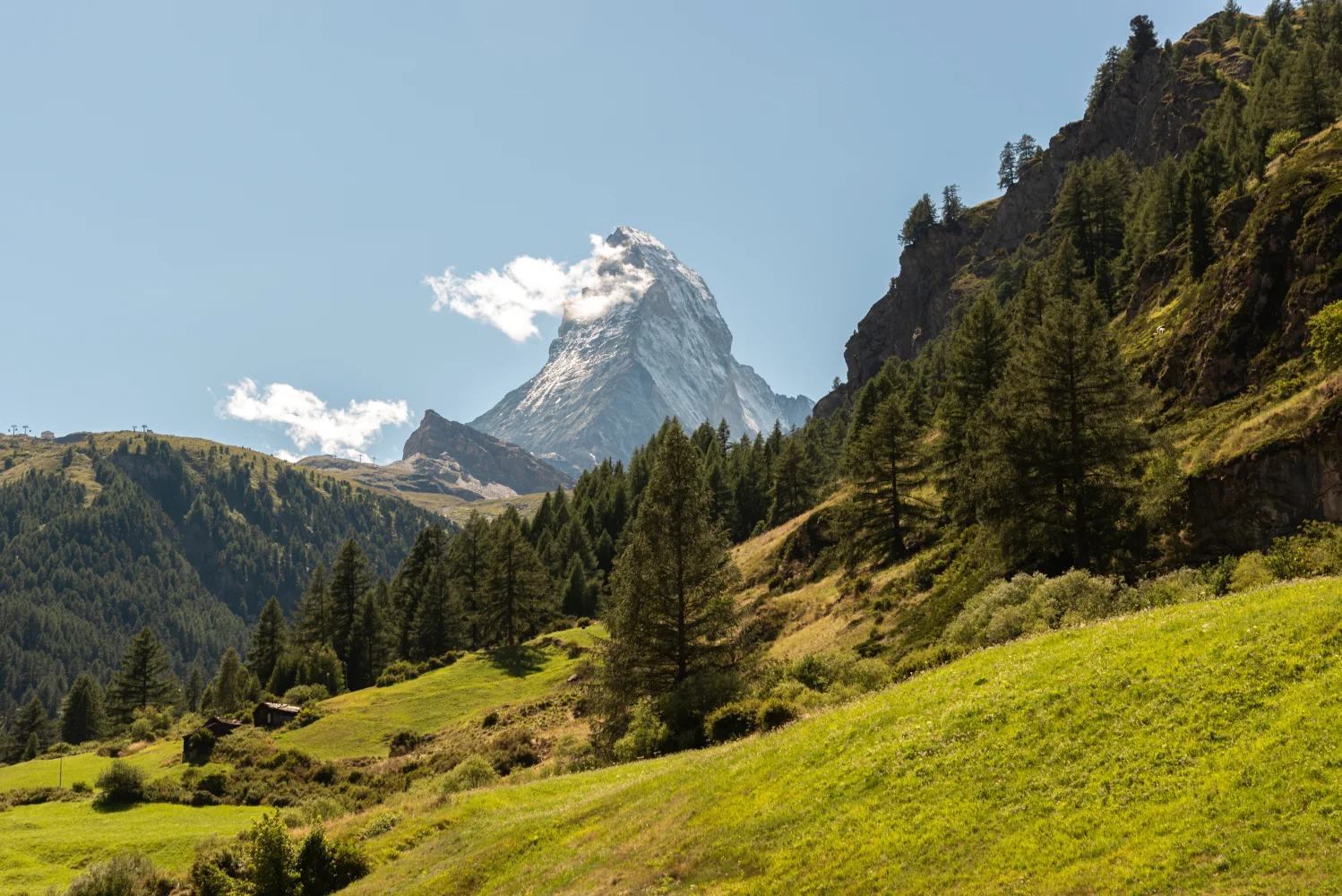 Blick auf Wald und Berg Gipfel