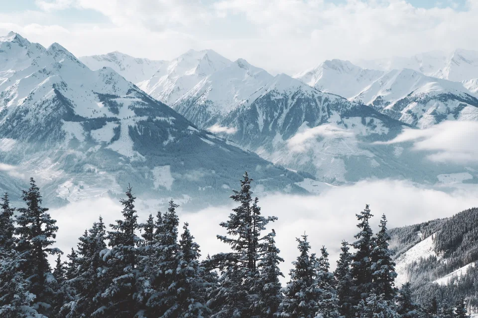 Blick auf hohe verschneite Berge und Wald