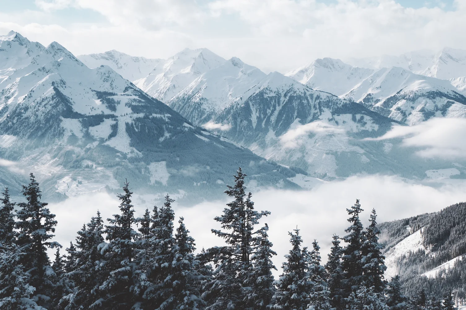 Blick auf hohe verschneite Berge und Wald