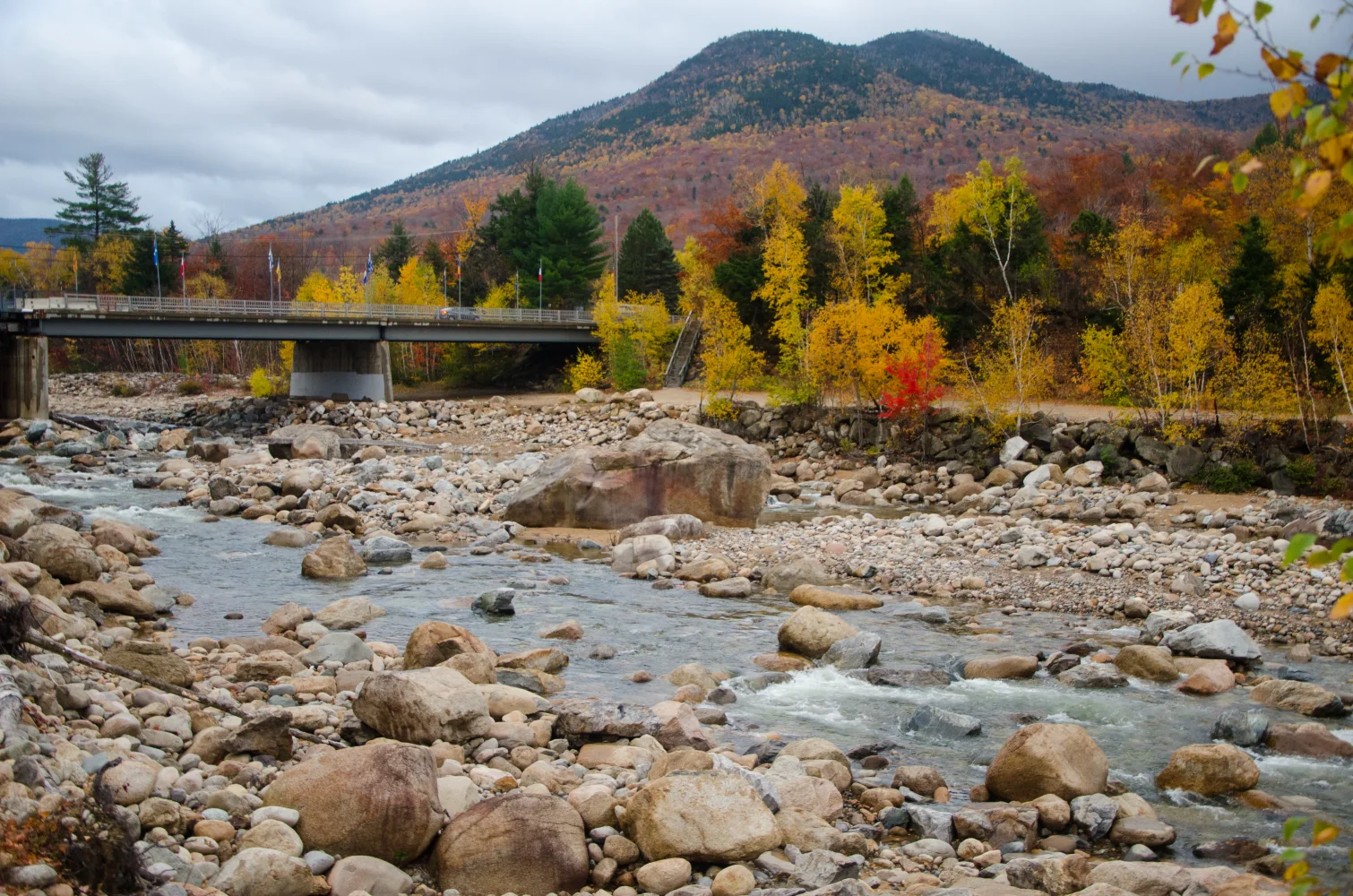 Felsen im Fluss vor einer Bergkulisse im Herbst