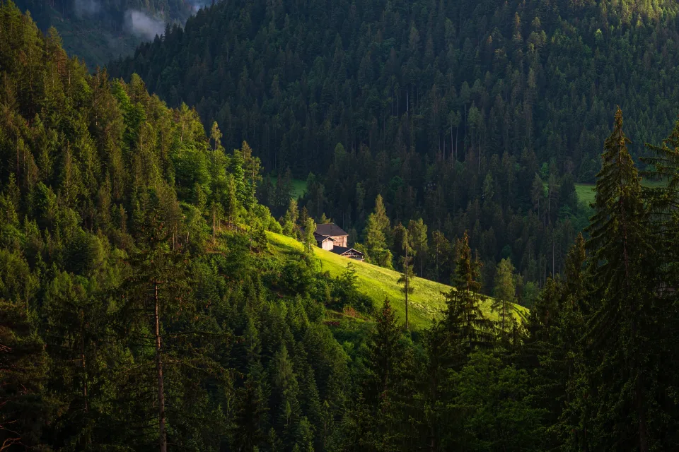 Haus auf bedecktem Wald Berg Hang