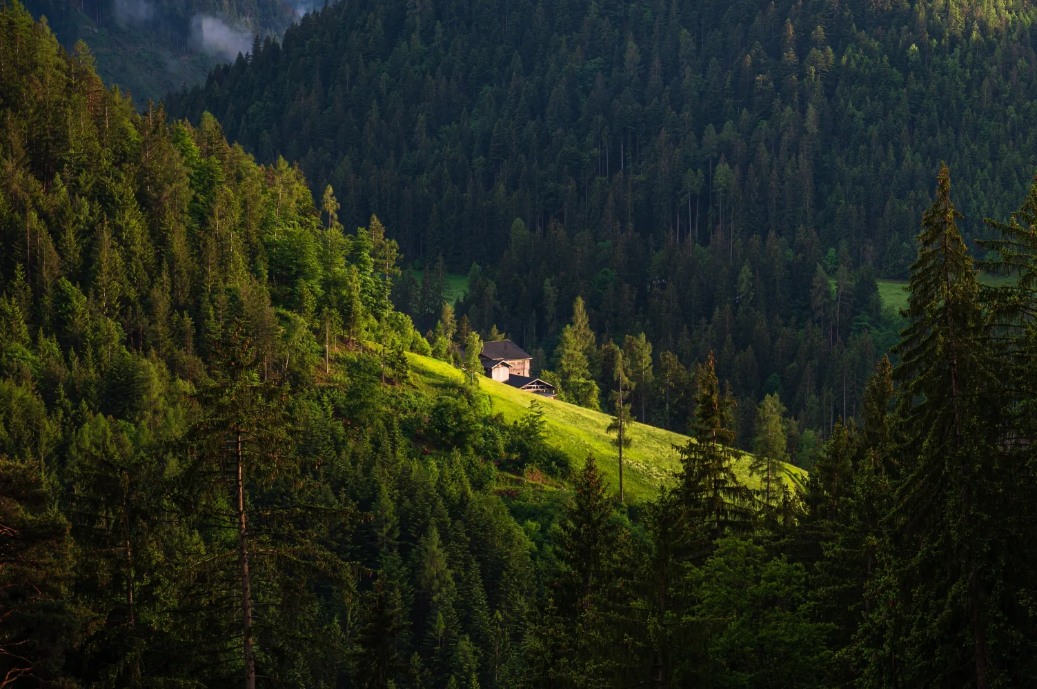 Haus auf bedecktem Wald Berg Hang