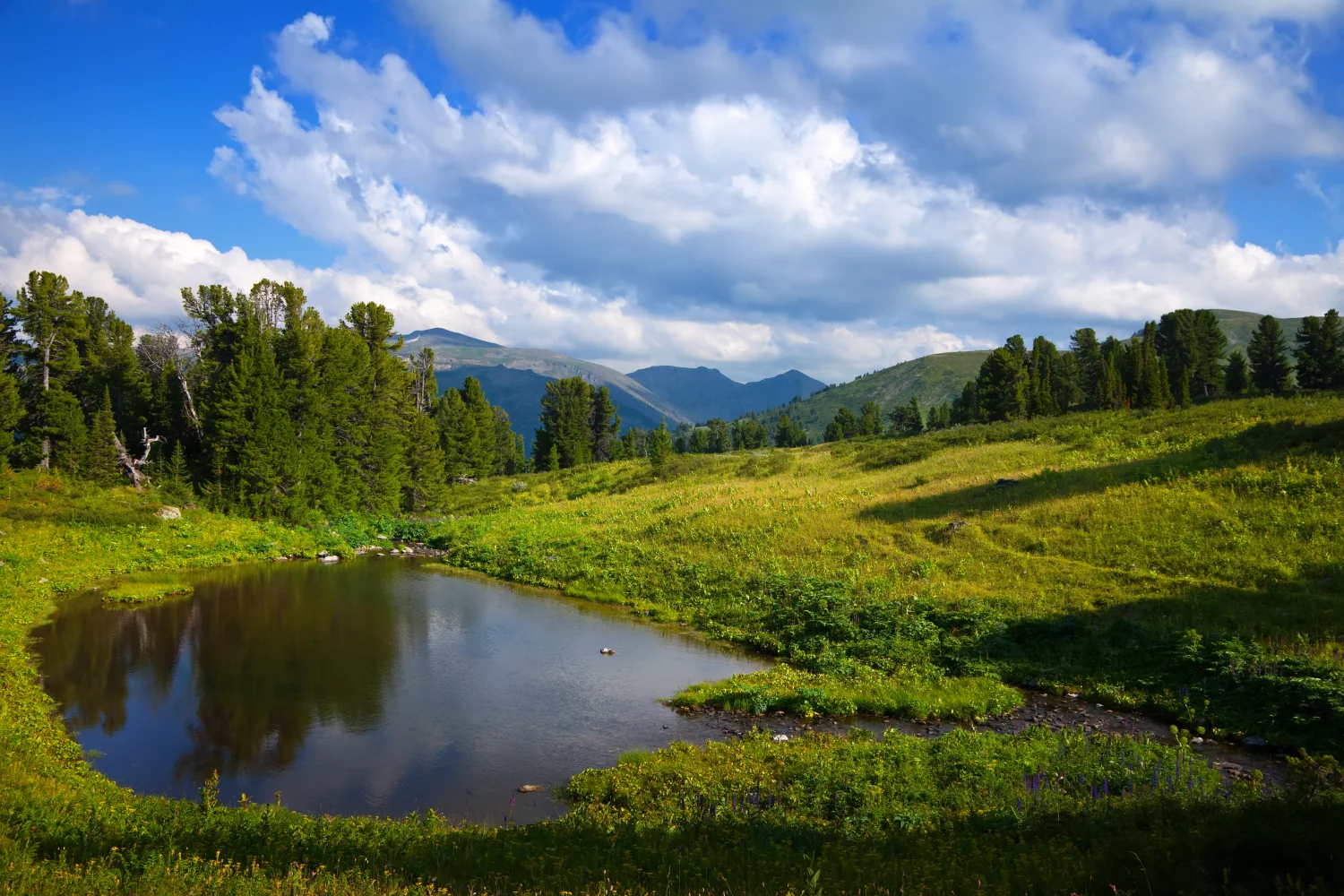 Malerische grüne Berg Natur