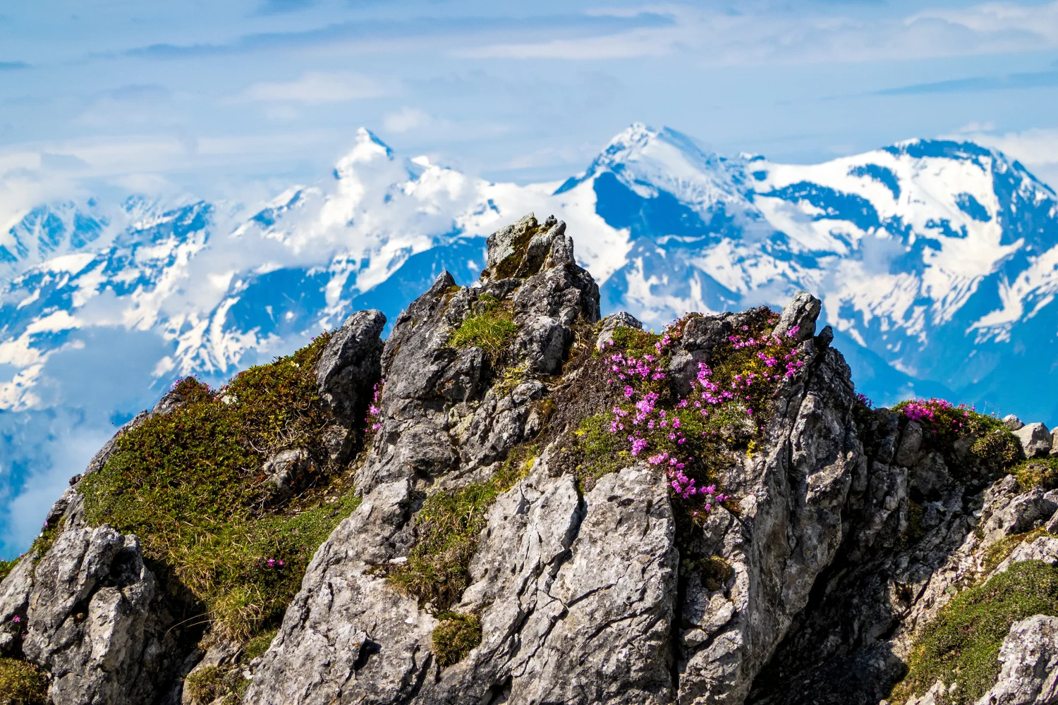 Schöner Blick auf hohe Österreichische Alpen