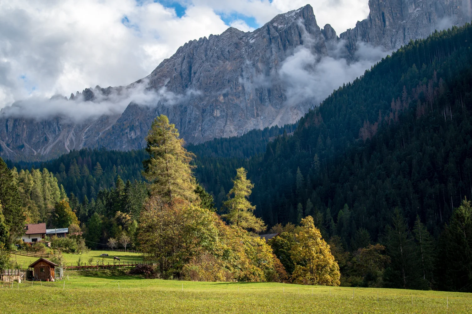Weißer Nebel über hohen Berge