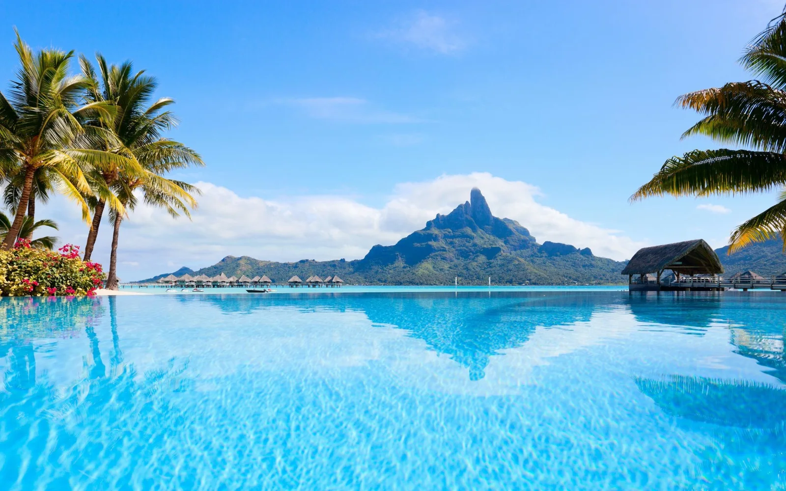 Blick auf Wasser Insel Kiefernwaldes Kiefernwaldes vor einer Bergkulisse
