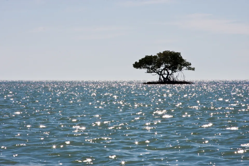 Kleine Insel