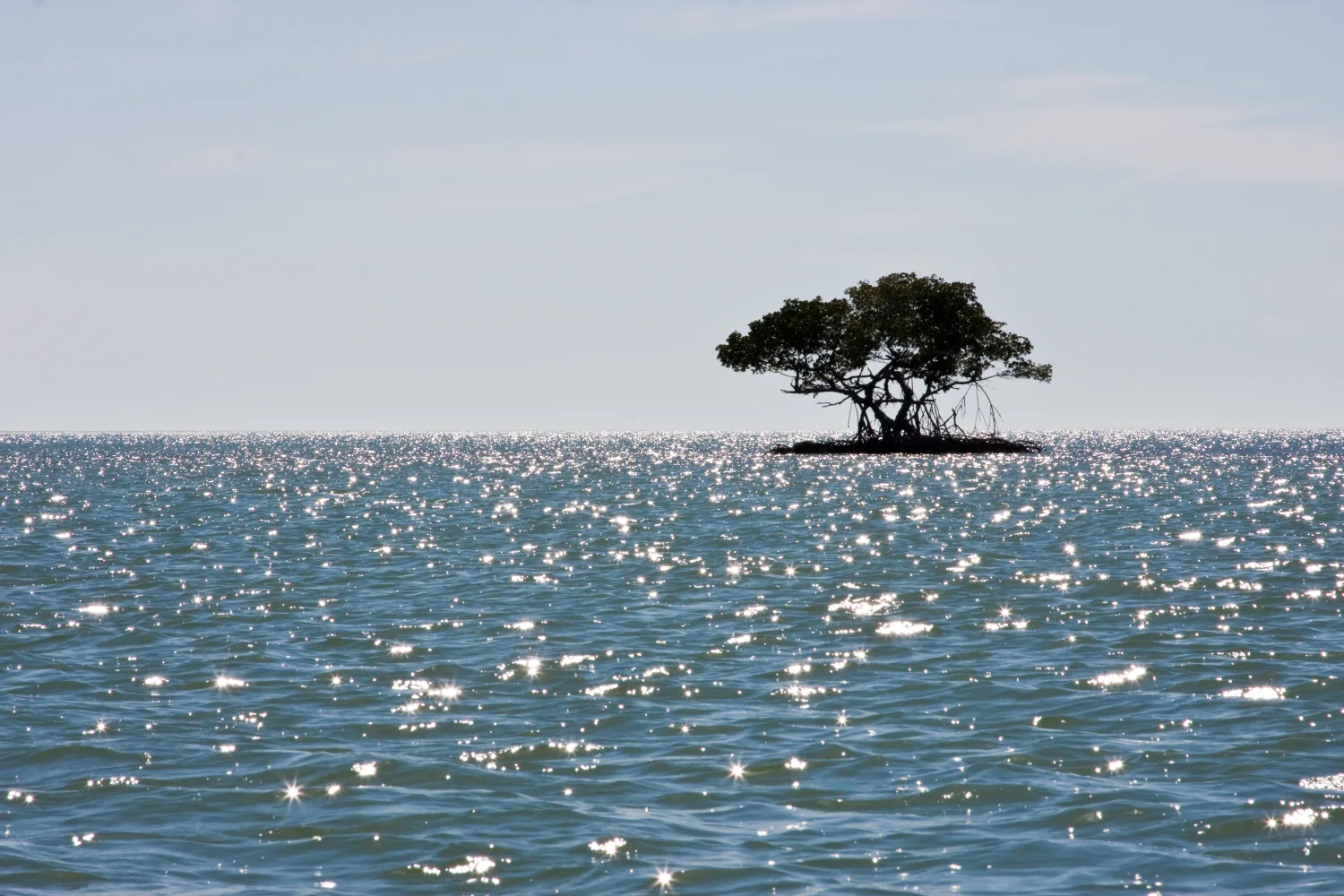 Kleine Insel