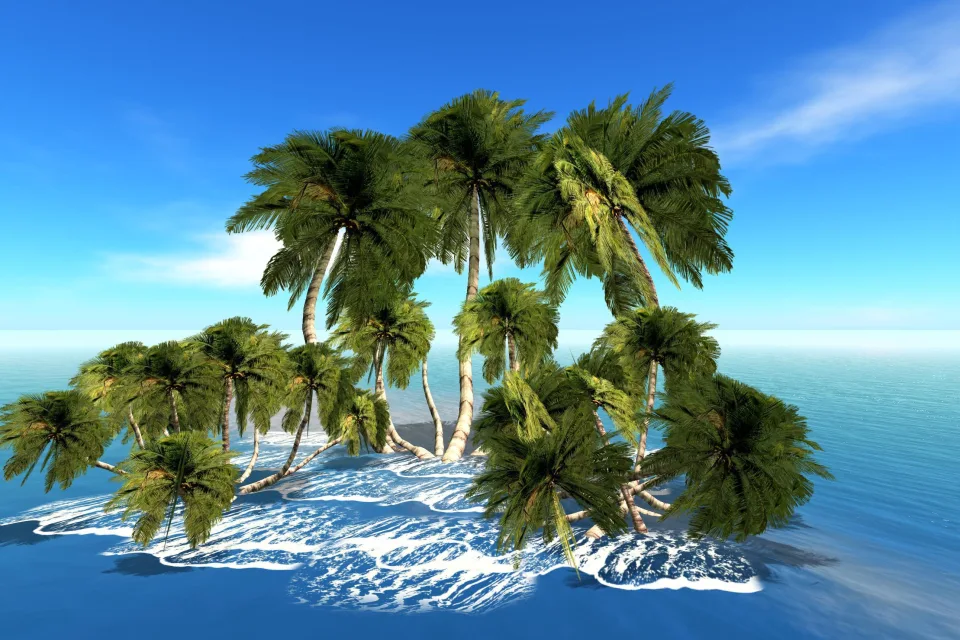 Palmen auf der Insel