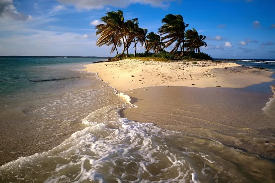 Sandiger Insel mit Palmen