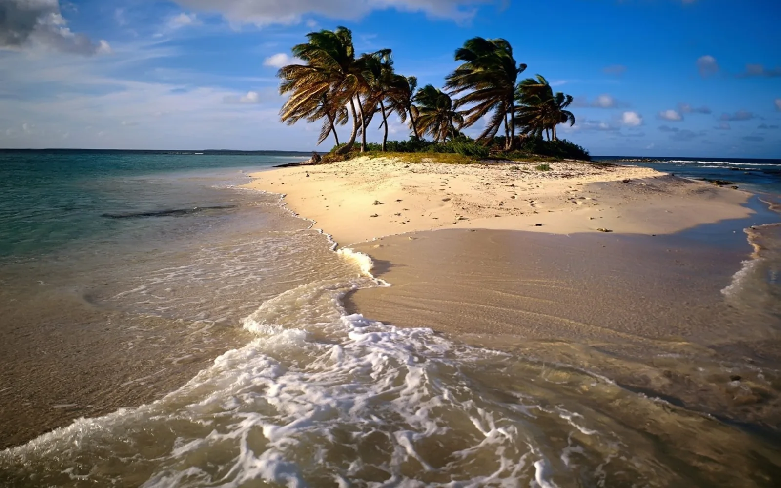 Sandiger Insel mit Palmen