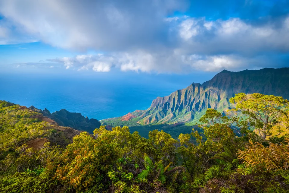 Schöner Blick auf Berge im Dickicht und Ozean Hawaii