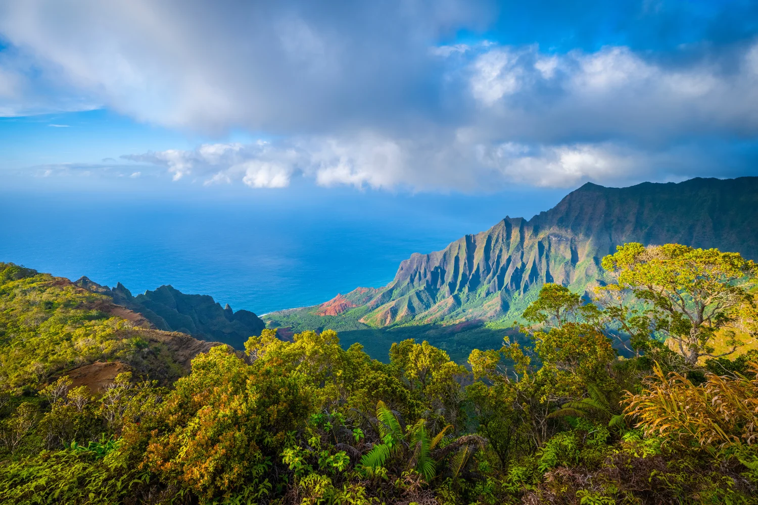 Schöner Blick auf Berge im Dickicht und Ozean Hawaii