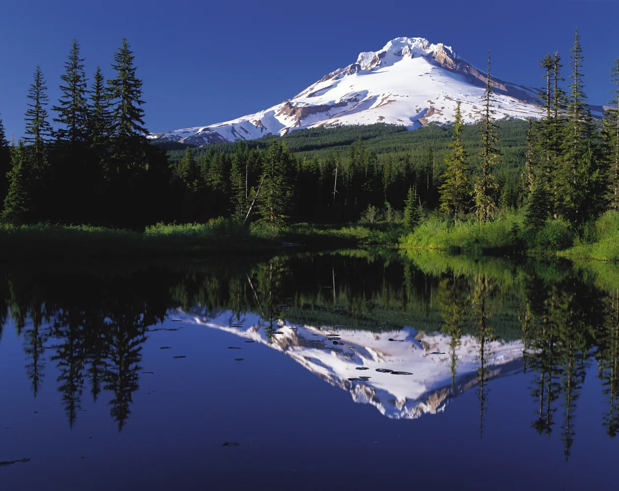 Schlafender Vulkan Mount Hood spiegelt sich im Wasser, USA