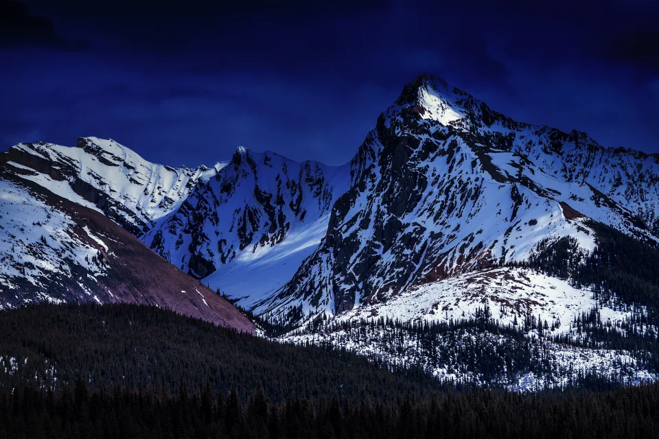 Glacier Berge Wald