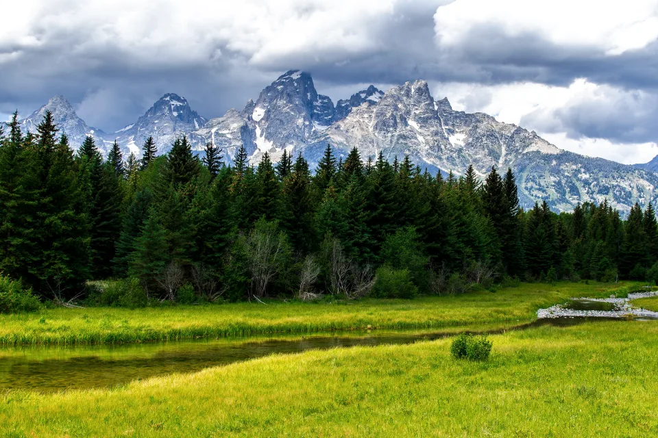 Grand Teton National Park Grün Meadow