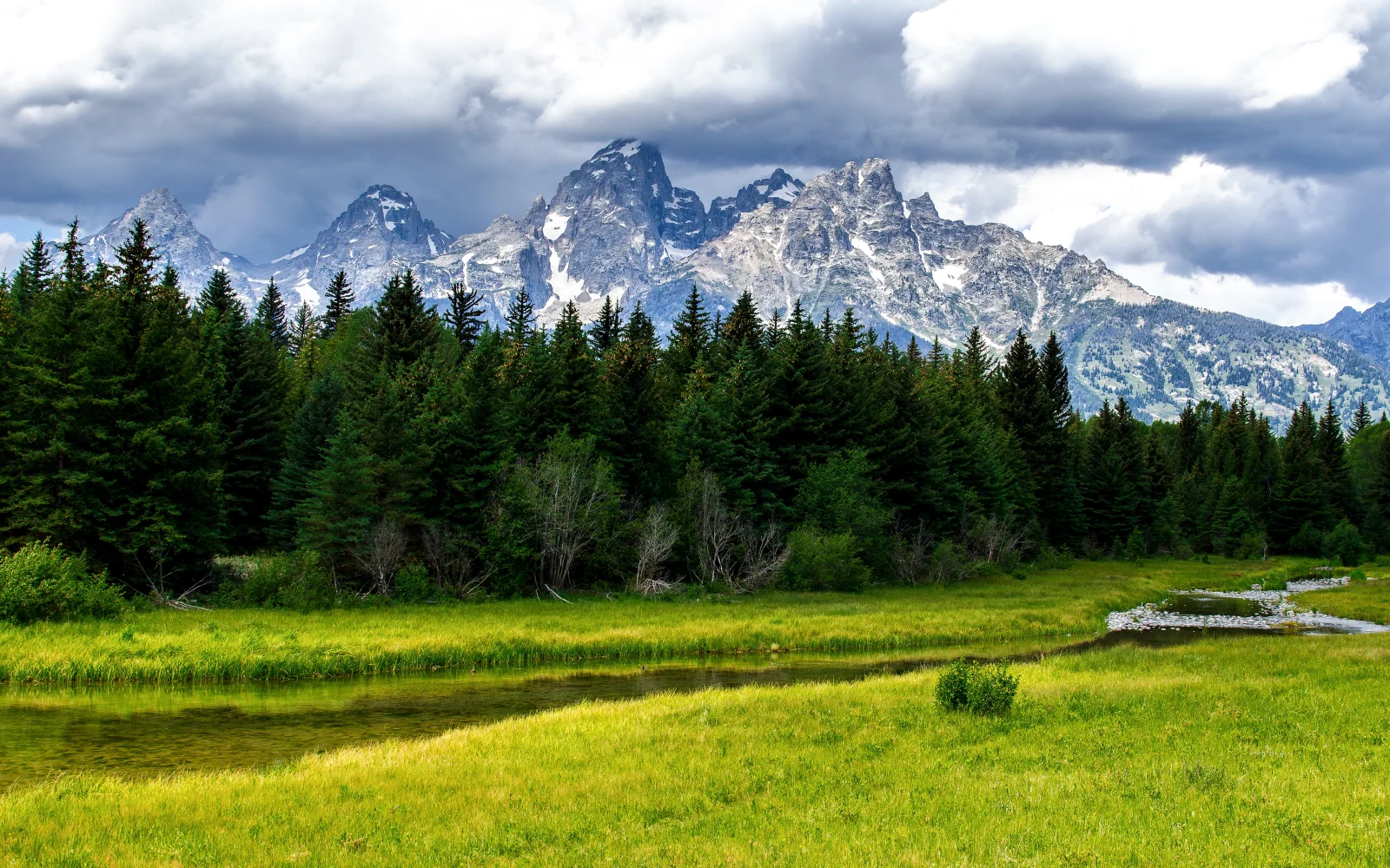 Grand Teton National Park Grün Meadow