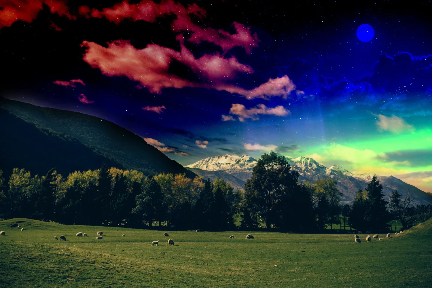 Grün Meadow Grass field