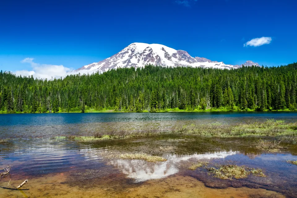 Mount Rainier National Park Washington State