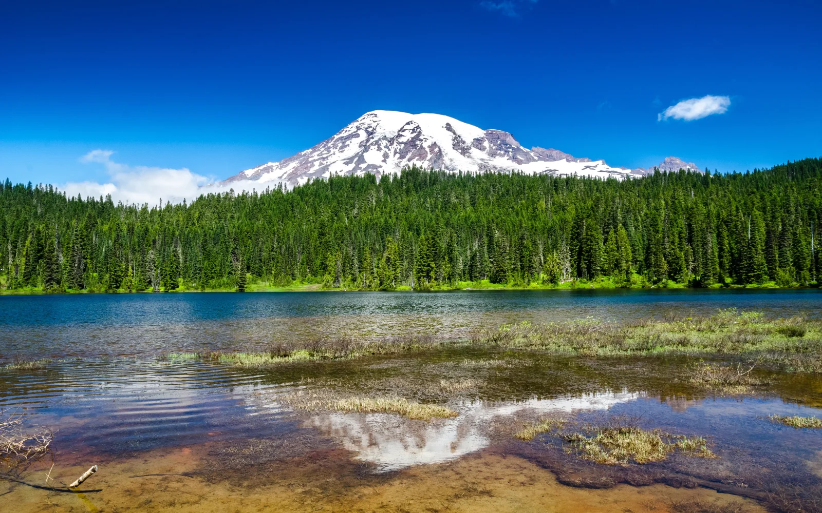Mount Rainier National Park Washington State