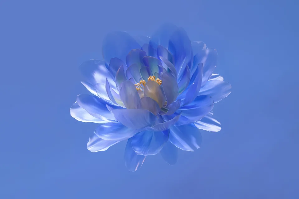 Abstrakte Blume Blau ästhetisch