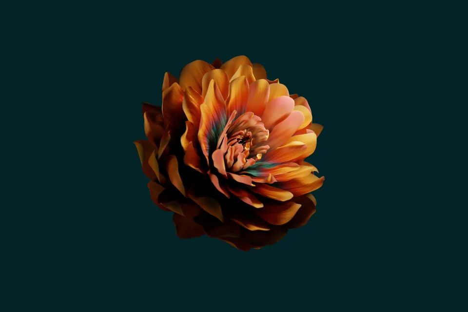 Abstrakte Blume Dunkel Grün