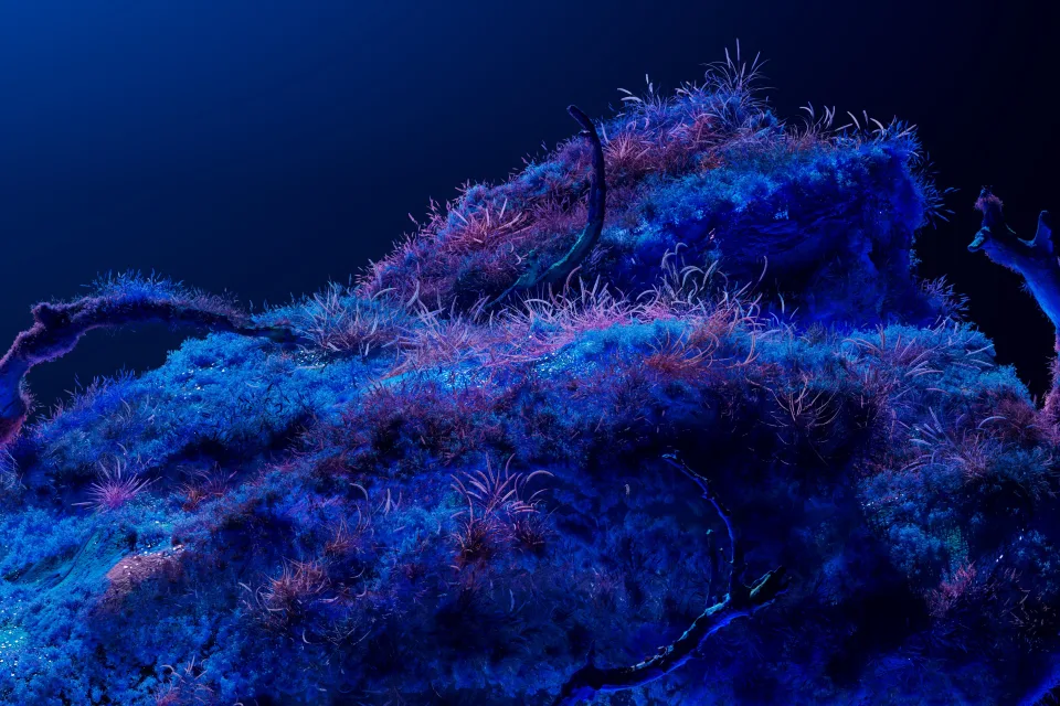 Bioluminescence Neon Kunst