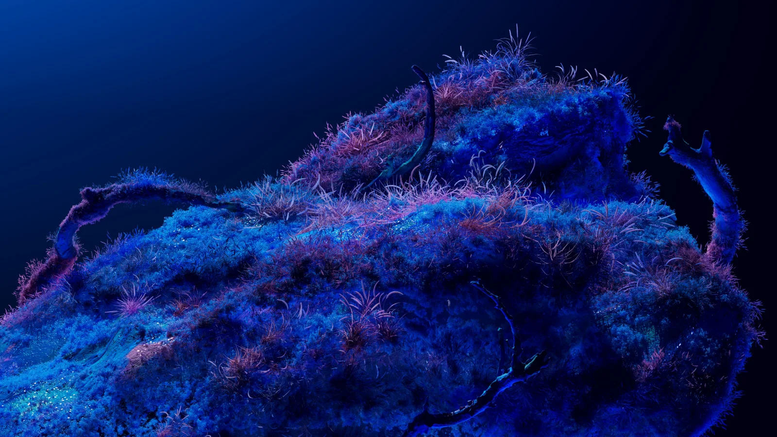 Bioluminescence Neon Kunst