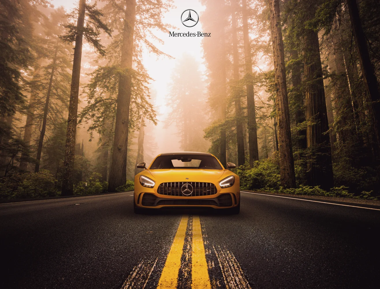 Mercedes Benz AMG GT R Sports coupe